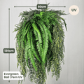 Evergreen Hanging Greenery Ball | Evergreen Walls