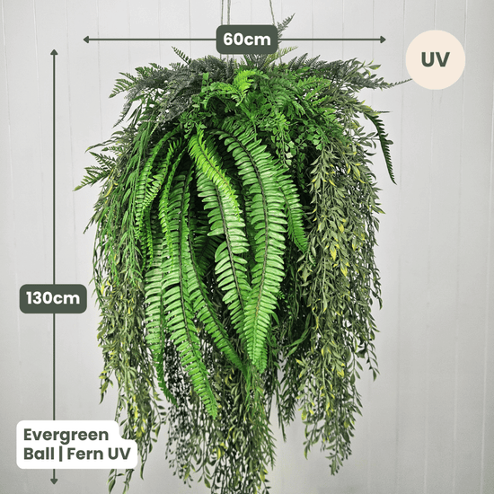 Evergreen Hanging Greenery Ball | Evergreen Walls