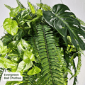 Evergreen Hanging Greenery Ball | Evergreen Walls