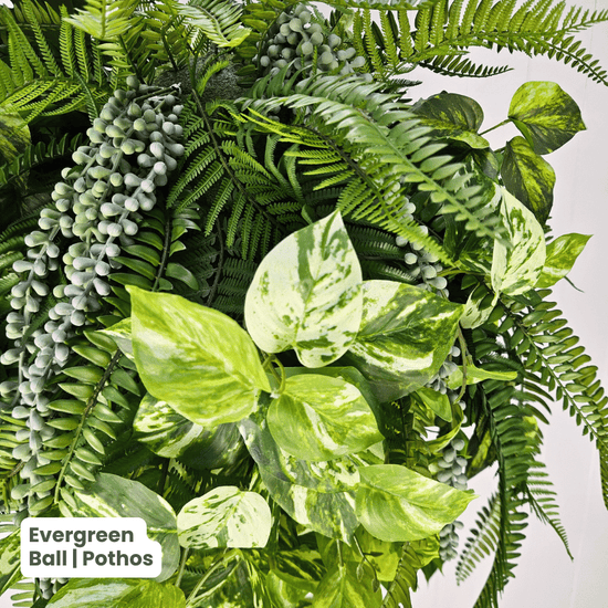 Evergreen Hanging Greenery Ball | Evergreen Walls