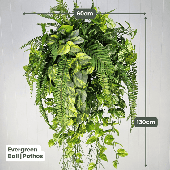 Evergreen Hanging Greenery Ball | Evergreen Walls