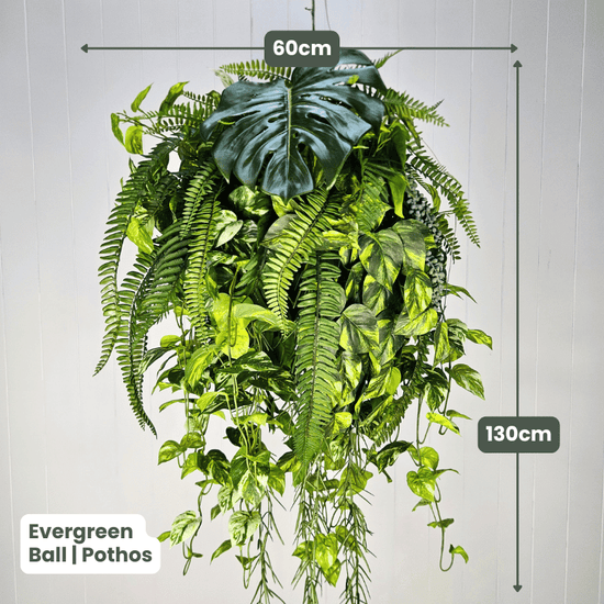 Evergreen Hanging Greenery Ball | Evergreen Walls