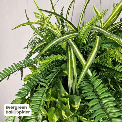 Evergreen Hanging Greenery Ball | Evergreen Walls