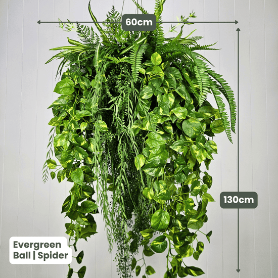 Evergreen Hanging Greenery Ball | Evergreen Walls