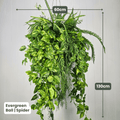 Evergreen Hanging Greenery Ball | Evergreen Walls