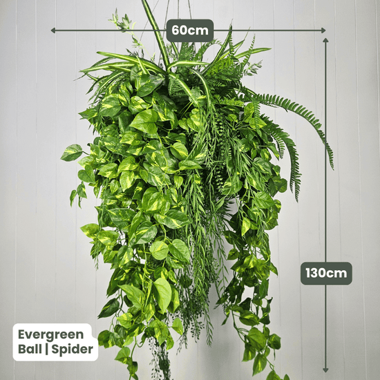 Evergreen Hanging Greenery Ball | Evergreen Walls
