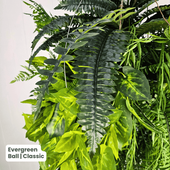 Evergreen Hanging Greenery Ball | Evergreen Walls