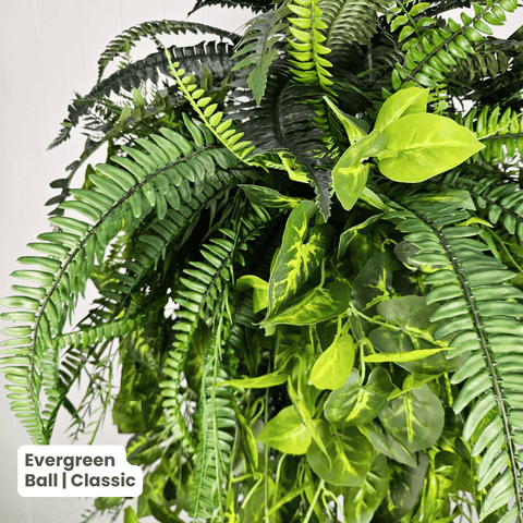 Evergreen Hanging Greenery Ball | Evergreen Walls