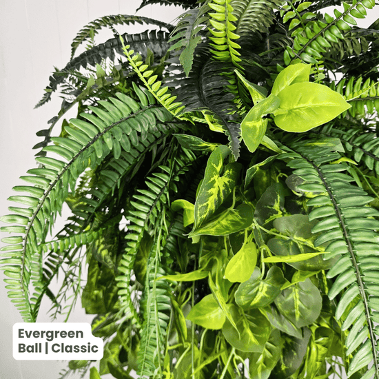 Evergreen Hanging Greenery Ball | Evergreen Walls