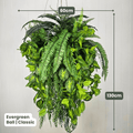 Evergreen Hanging Greenery Ball | Evergreen Walls
