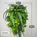 Evergreen Hanging Greenery Ball | Evergreen Walls