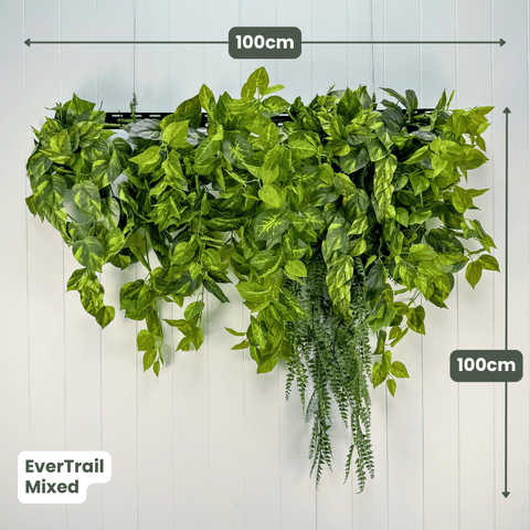 EverTrail™ Balcony Greenery | Evergreen Walls