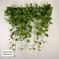 EverTrail™ Balcony Greenery | Evergreen Walls