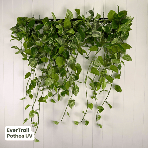 EverTrail™ Balcony Greenery | Evergreen Walls