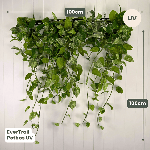 EverTrail™ Balcony Greenery | Evergreen Walls