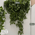 EverTrail™ Balcony Greenery | Evergreen Walls