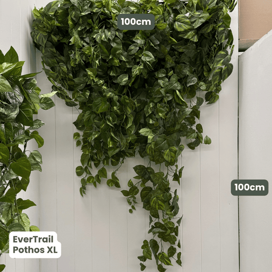 EverTrail™ Balcony Greenery | Evergreen Walls