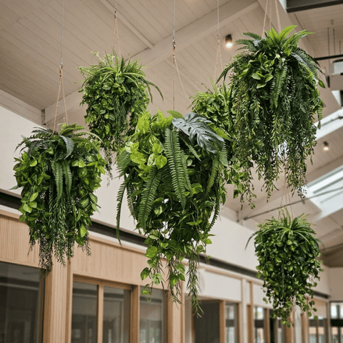 Evergreen Hanging Greenery Ball | Evergreen Walls