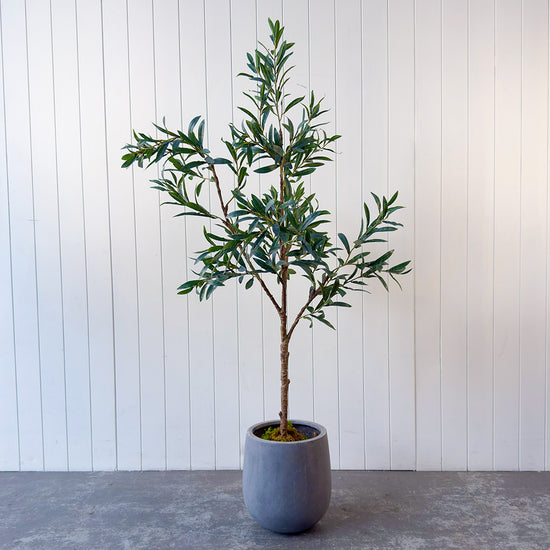 Artificial Olive Tree | Evergreen Walls