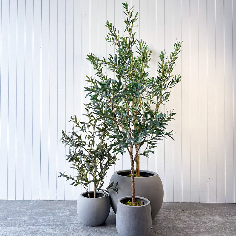 Artificial Olive Tree | Evergreen Walls