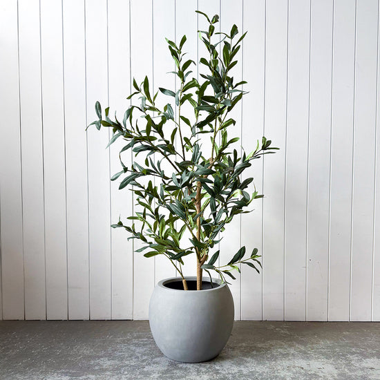 Lightweight Dome Pot | Grey | Evergreen Walls