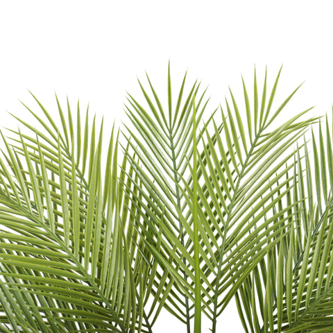 Baby Kentia Palm UV 95cm