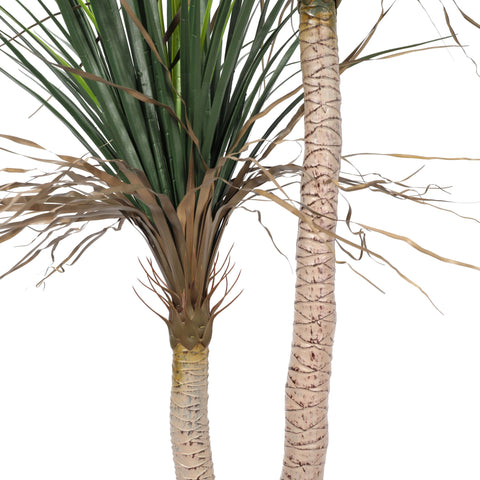 Grass Yucca Tree Double Trunk UV