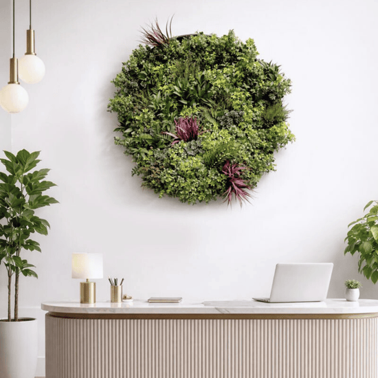 Evergreen Premium Discs | Evergreen Walls
