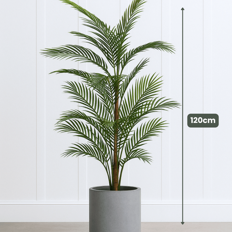 areca palm wall Areca Palm UV Plants 90–120cm