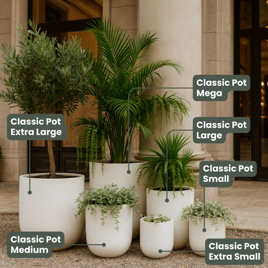 Lightweight Classic Pot | White | Evergreen Walls