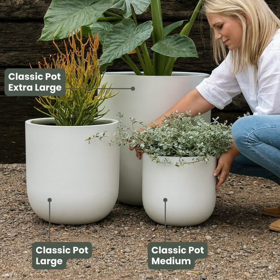 Lightweight Classic Pot | White | Evergreen Walls