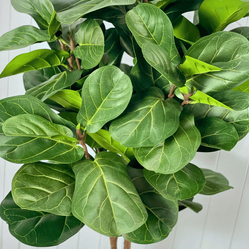 best faux fiddle leaf fig tree australia Artificial Fiddle Leaf Fig Trees | 70cm, 145cm & 175cm