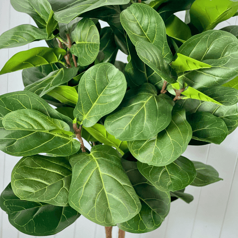 Artificial Fiddle Leaf Trees