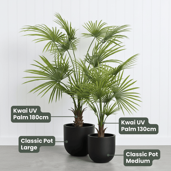 Kwai Palm UV | Evergreen Walls