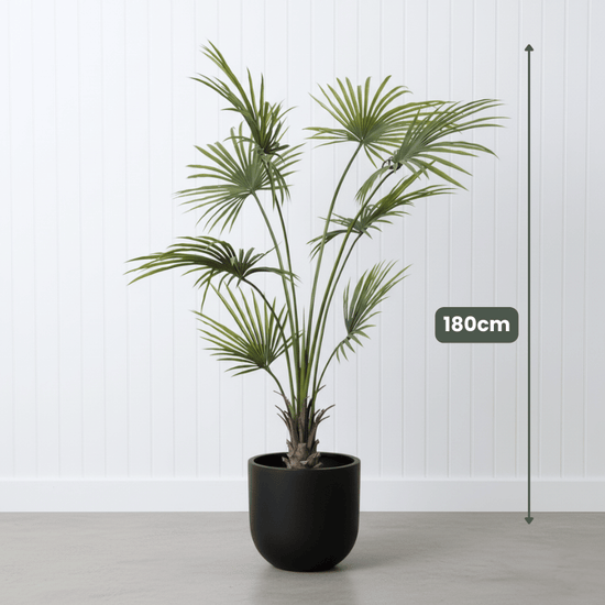 Kwai Palm UV | Evergreen Walls