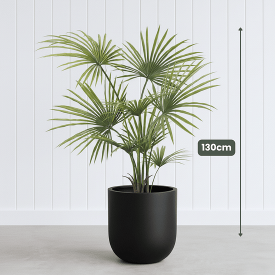 Kwai Palm UV | Evergreen Walls
