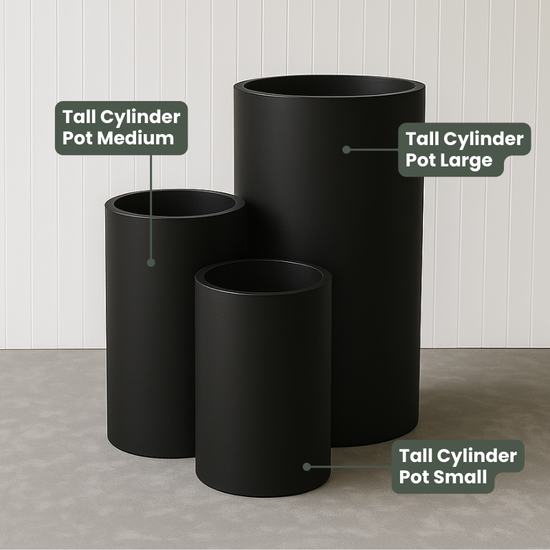 Lightweight Tall Cylinder Pot | Black | Evergreen Walls