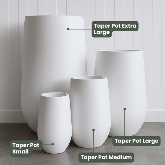 Lightweight Taper Pot | White | Evergreen Walls