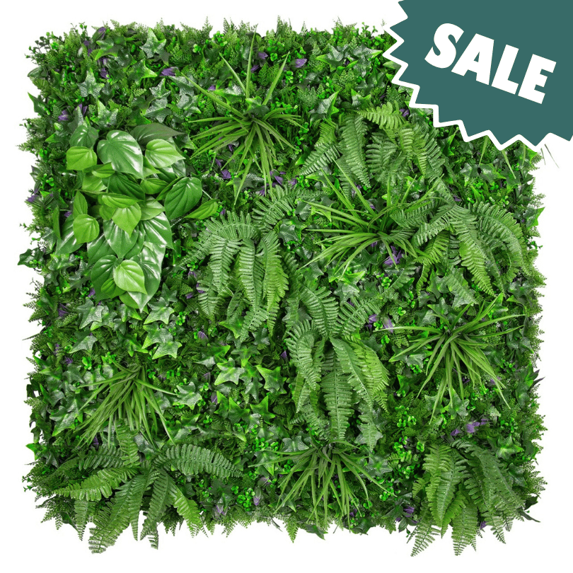 Evergreen Urban Sale