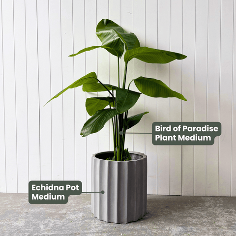 Artificial Bird of Paradise