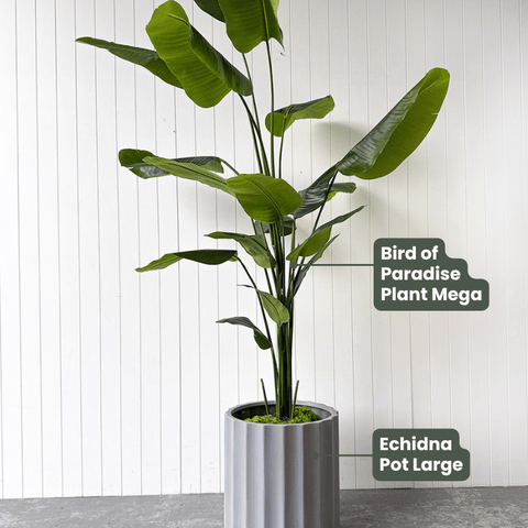 Artificial Bird of Paradise