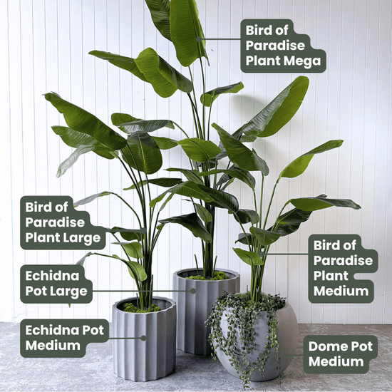 Artificial Bird of Paradise | Evergreen Walls