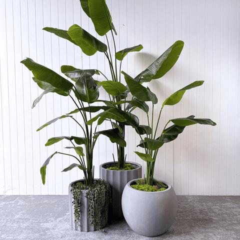 Artificial Bird of Paradise