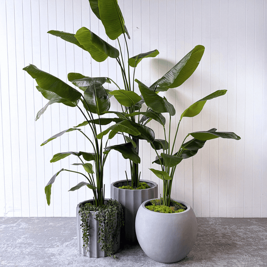 Artificial Bird of Paradise | Evergreen Walls