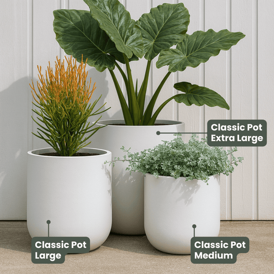 Lightweight Classic Pot | White | Evergreen Walls