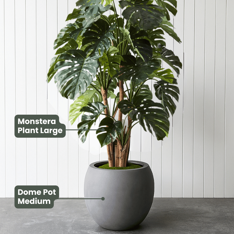 artificial monstera plants Evergreen Walls
