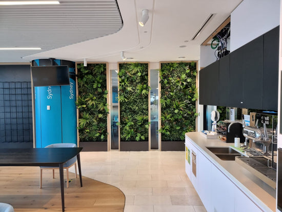 Evergreen Premium | Evergreen Walls