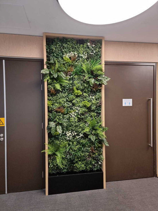 Evergreen Premium | Evergreen Walls
