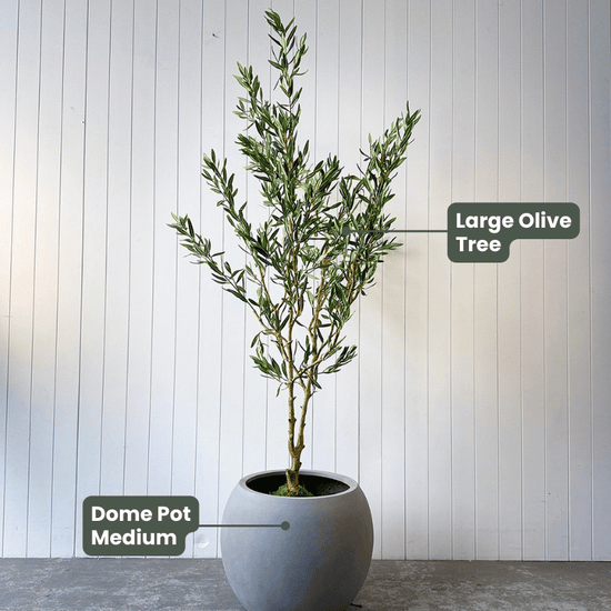 Artificial Olive Tree | Evergreen Walls