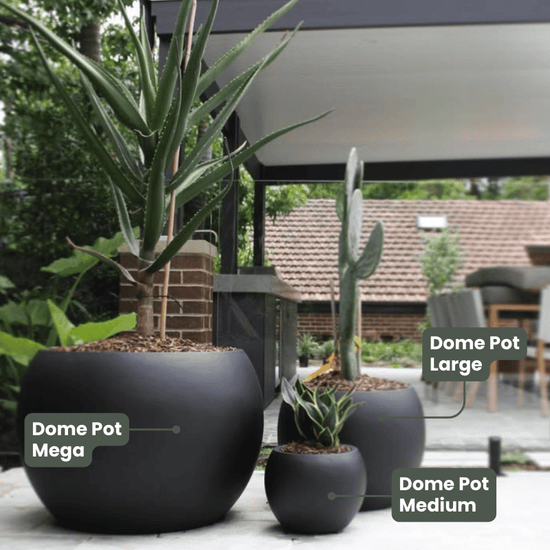 Lightweight Dome Pot | Black | Evergreen Walls